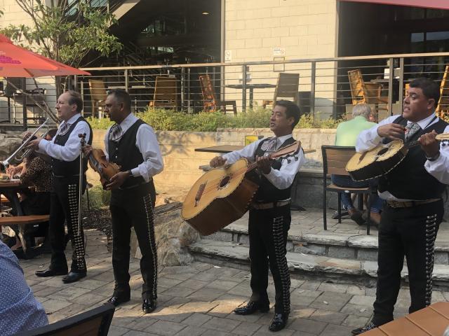 Authentic Mariachi Musicians South of the Border Mexican Folk Music Band 