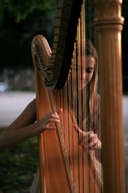 Harp for Weddings in Atlanta, Dinners, Valentine's Dinner Harp