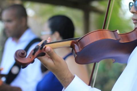 A violinist in a band