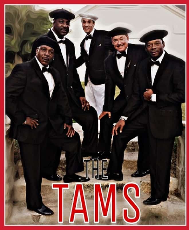 THE TAMS