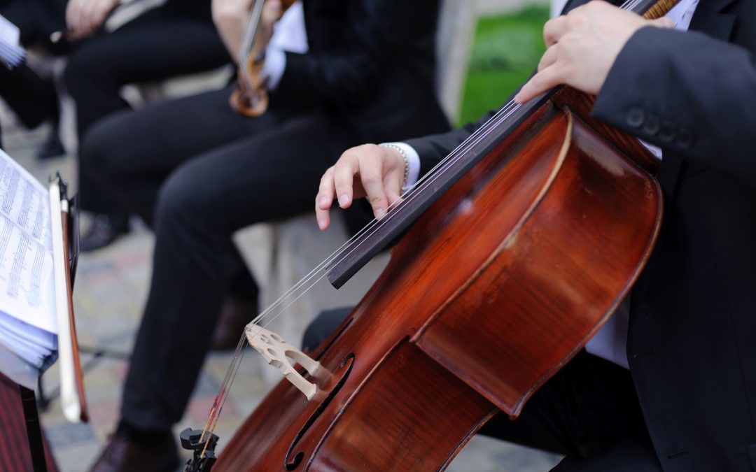 5 Things to Think About When Planning Live Wedding Entertainment – No. 3 Will Surprise You!